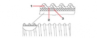 Master-PUR Inline 60/4